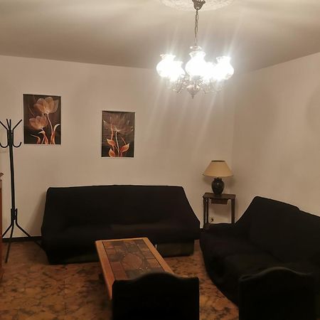 Spacieux Appartement Dans Villa Jonage Kültér fotó